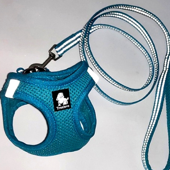 Dog vest harness with leash set made with breathable air mesh. FOUR Color - Picture 2 of 3